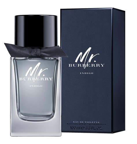 burberry indigo man|burberry brit for men fragrantica.